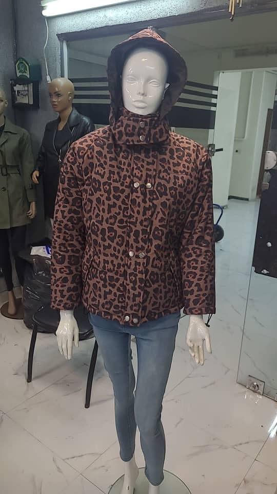 بامبر پلنگی - تصویر 3